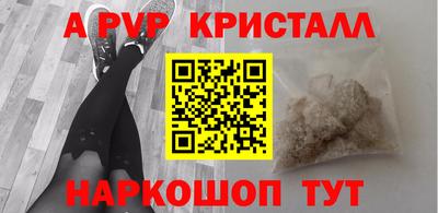 гашик Будённовск