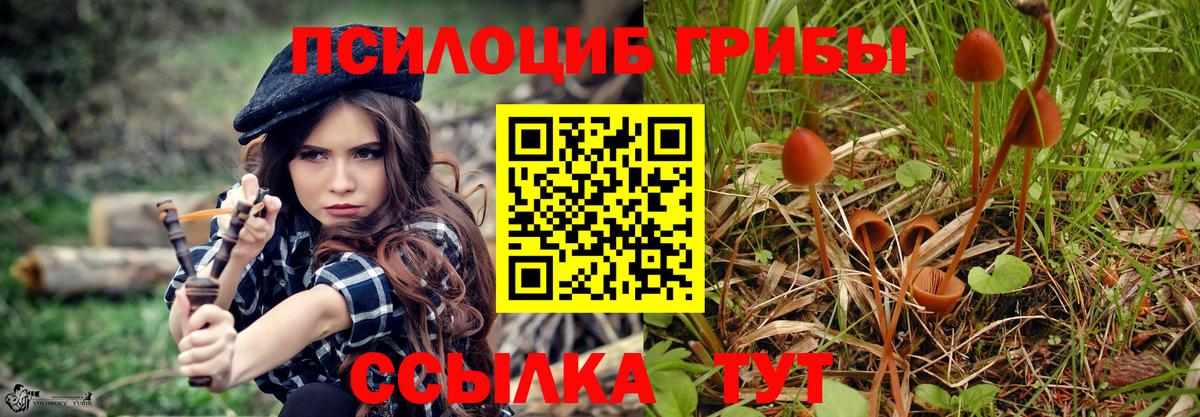 Псилоцибиновые грибы Psilocybe Ульяновск