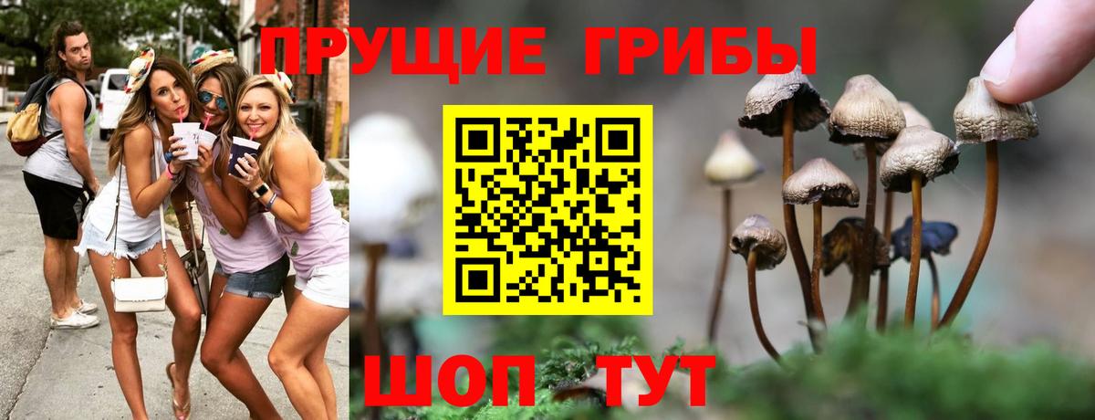 Ульяновск  Псилоцибиновые грибы Magic Shrooms  Галлюциногенные грибы мухоморы  Вход с VPN 